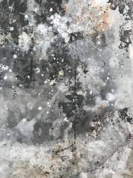 中国画教师姜东昭，作品名称：《雪莲花》 ，画种：中国画