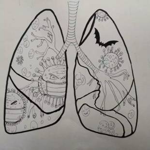 微信图片_20200219152923